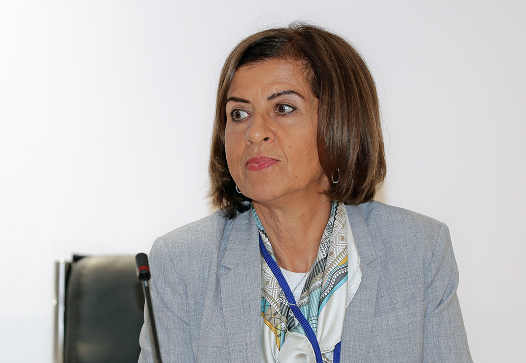 Hala Naufal: Christian Arabs in the Ottoman Empire: from Ain Dara to the First World War